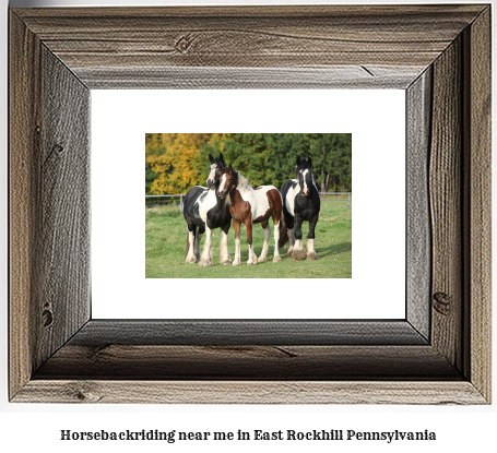 horseback riding near me in East Rockhill, Pennsylvania